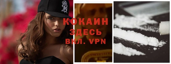 крисы Баксан