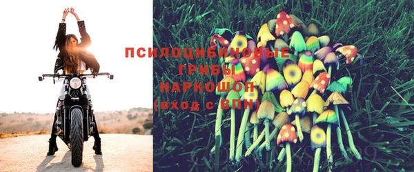 крисы Баксан