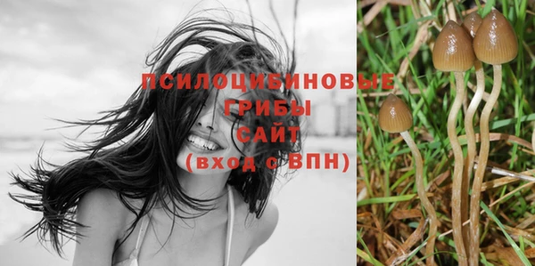 прущая мука Балахна