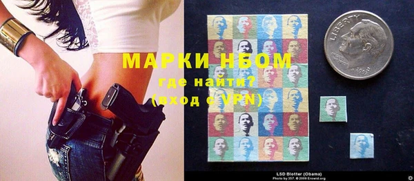 крисы Баксан