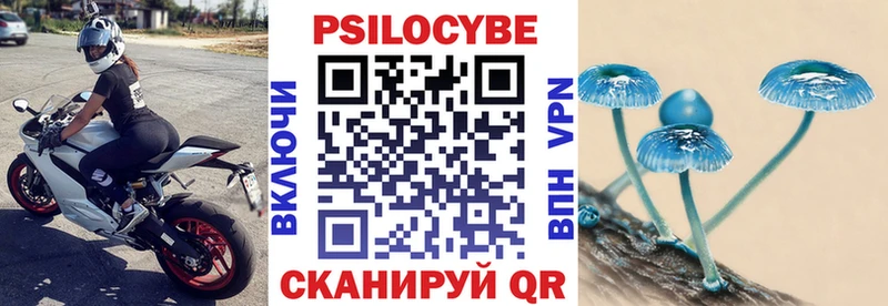 Купить где Гусь-Хрустальный Псилоцибиновые грибы прущие грибы